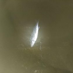 仕事おわりに二時間夕涼み