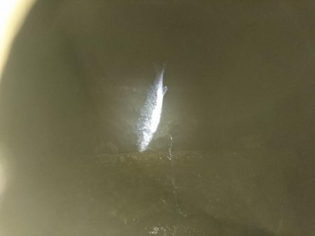 仕事おわりに二時間夕涼み