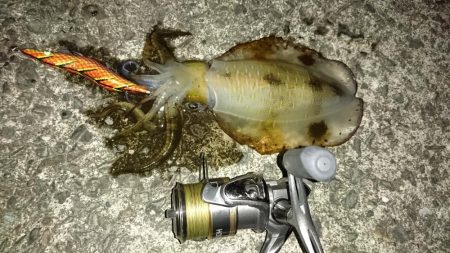 長期出張中夜の散歩