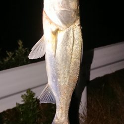 ランディング下手