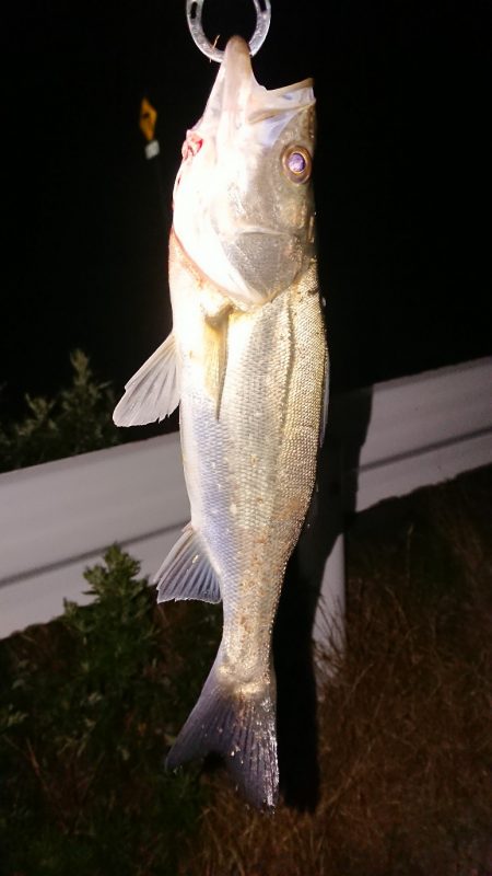 ランディング下手