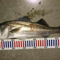 ハラハラドキドキ