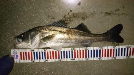 ハラハラドキドキ