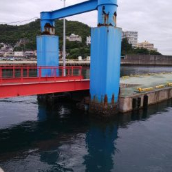 サビキで豆アジ