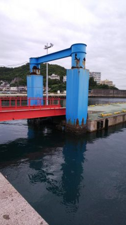 サビキで豆アジ