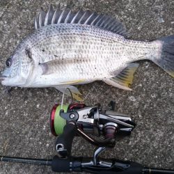 ちょこっとチニング