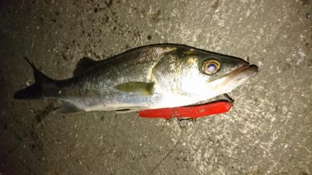 アタリがぁぁぁ~ないぃぃぃ~(´Д`)