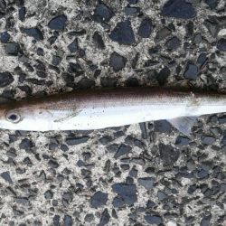 美味しくいただきました。