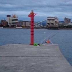 五目釣り、キス釣り