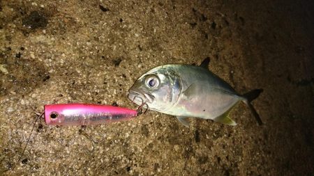 台風明け早朝からキャストです。