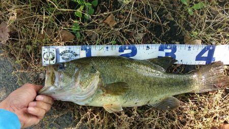 今日もカバー奥にピッタリ
