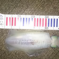 雨があがった合間の時間狙いで、行って来ました。