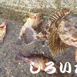 今日も行ってきました！