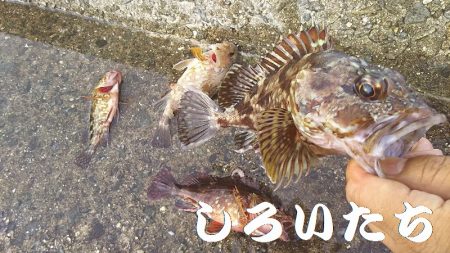 今日も行ってきました！