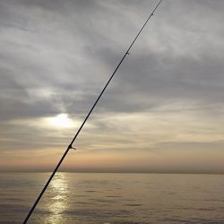 淡路島、新規開拓。