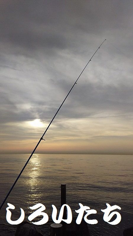 淡路島、新規開拓。