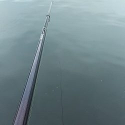 今日は、アジ狙い。