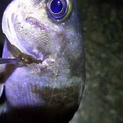 初めての場所。