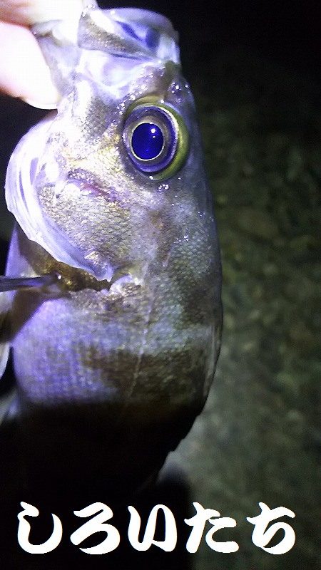 初めての場所。