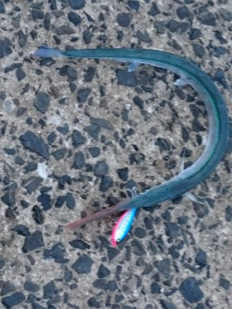 トップの外道といえば。