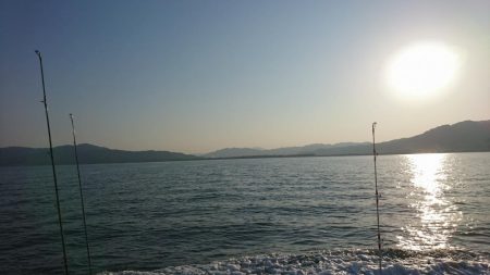 日本海タラジギング