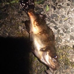 こんなにも違うのか