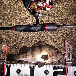 豪雨直後のベタ凪