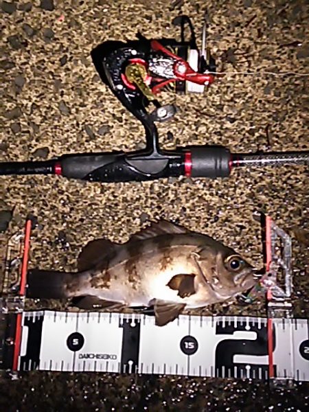 豪雨直後のベタ凪