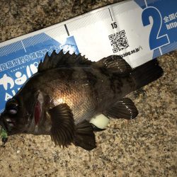 会社帰りプチメバル