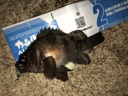 会社帰りプチメバル