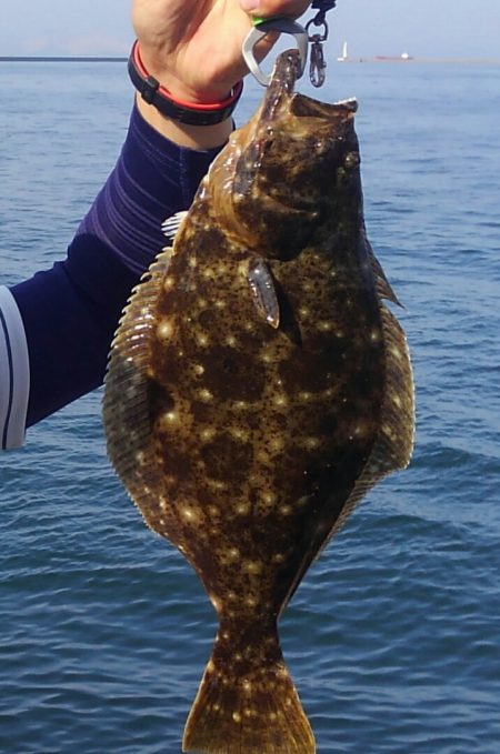 ヒラメ高確率！