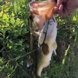 ジョイクロ 128テスト