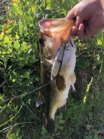 ジョイクロ 128テスト