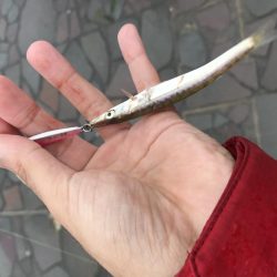 表、奥浜名湖満喫！