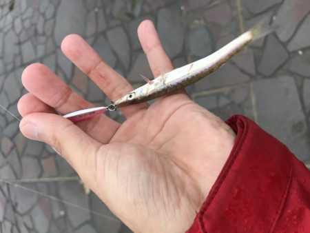 表、奥浜名湖満喫！