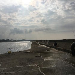 エギングに挑戦するも。。。