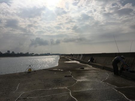 エギングに挑戦するも。。。