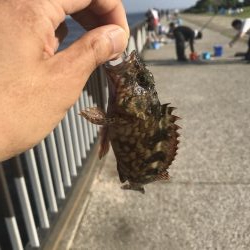 武豊緑地公園のライトゲーム!