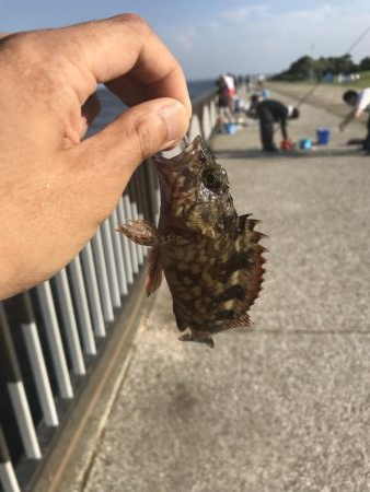 武豊緑地公園のライトゲーム!