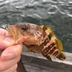 根魚祭り！