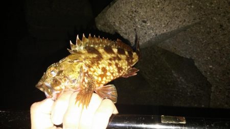 梅雨の晴れ間、爆風！