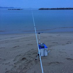 ショアラバ マゴチ