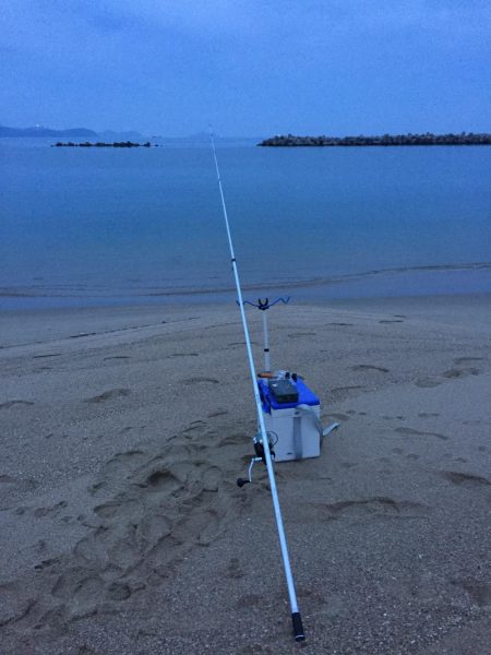 ショアラバ マゴチ