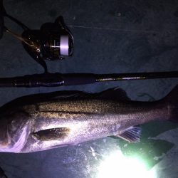 バチパターン初の友人1本＆自分10発w