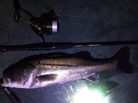 バチパターン初の友人1本＆自分10発w