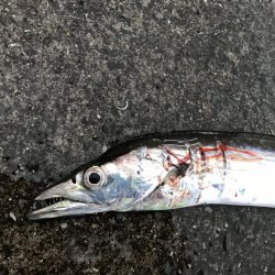 荒れる前にちょっとだけ