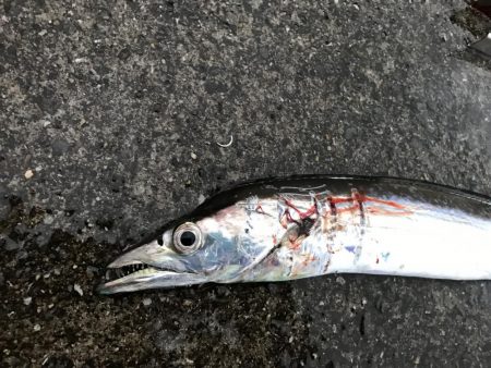 荒れる前にちょっとだけ