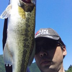 バスは見えますが…