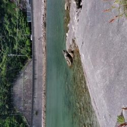 家族旅行の送迎