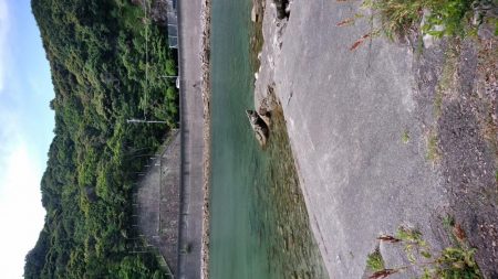 家族旅行の送迎